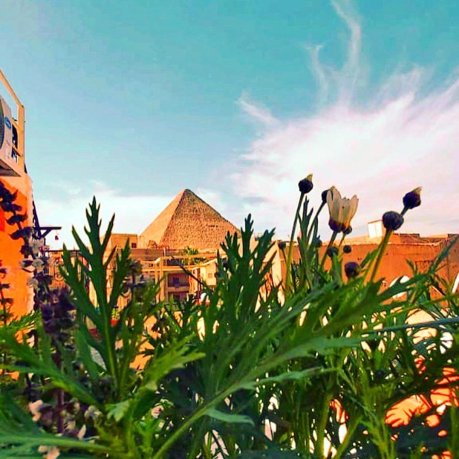 Pyramids Paradise Hotel Cairo Exterior photo